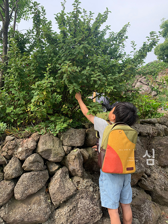 처음에는 전세로 딱 2년만 지내다 갈 생각이었는데, 여행자로서의 제주가 아닌, 삶의 제주 속을 샅샅이 누비다 보니 점점 더 그 매력에 빠져들었습니다.