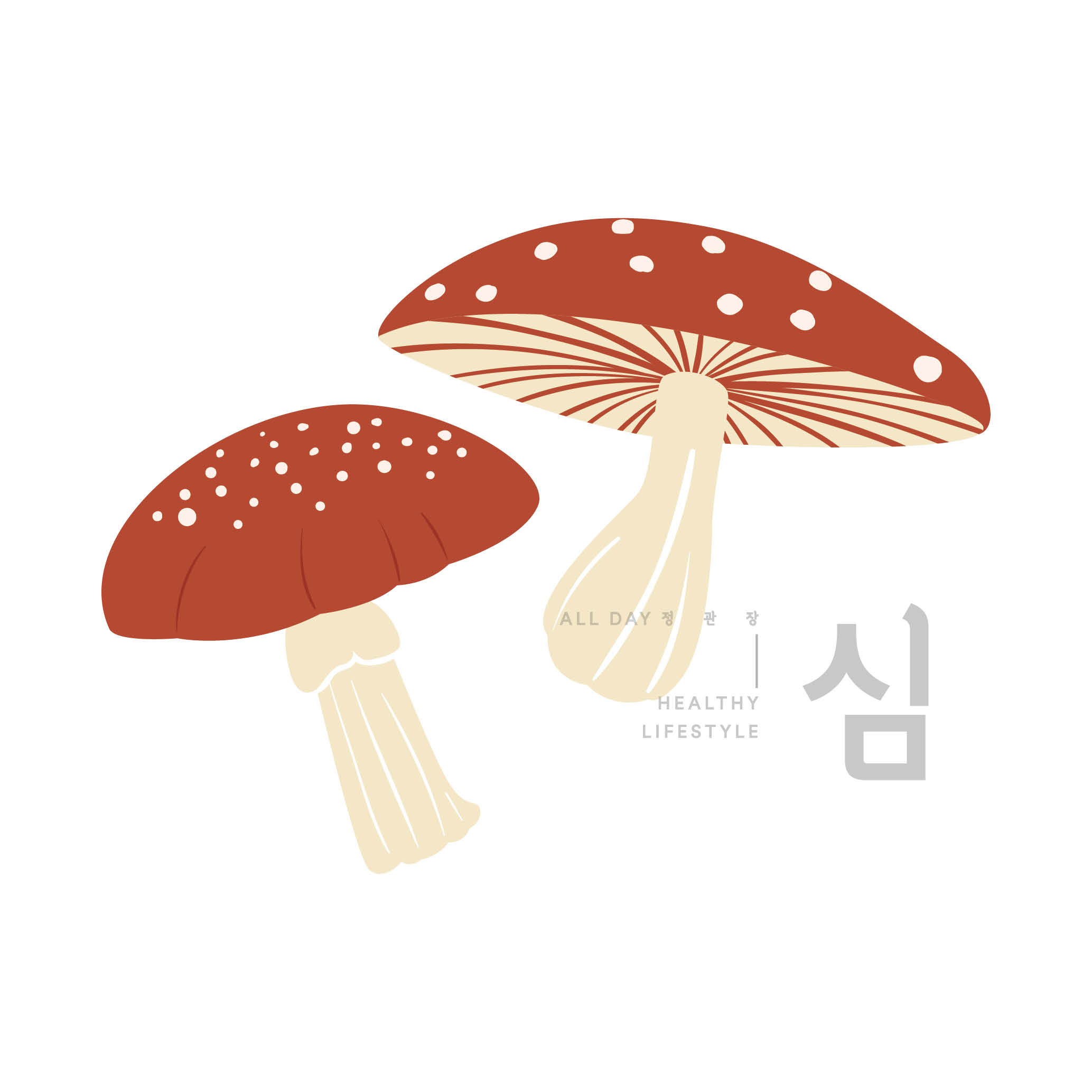 몸에 좋은 제철 버섯